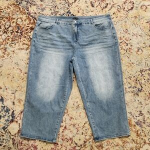 Universal Standard Bae Boyfriend Cropped Jeans in Light Blue Size 26